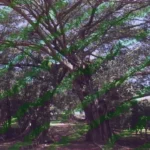 Impulsa el GEM el ecoturismo responsable en el Estado de México